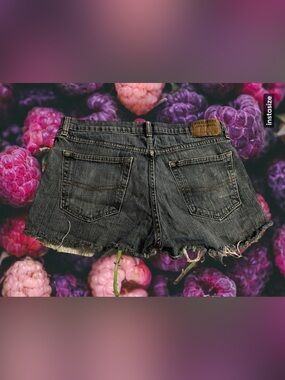 Signature by Levi’s Dark Frayed Hem Denim Shorts